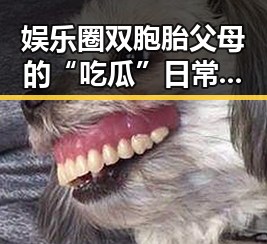 娱乐圈双胞胎父母的“吃瓜”日常：欢乐又正能量 💖