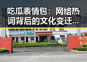 吃瓜表情包：网络热词背后的文化变迁与心理解读